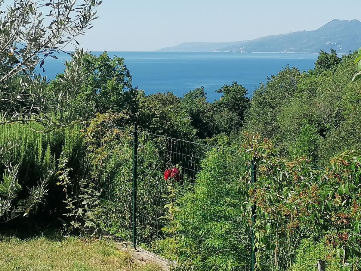 Apartment The View Costabella غييكا المظهر الخارجي الصورة